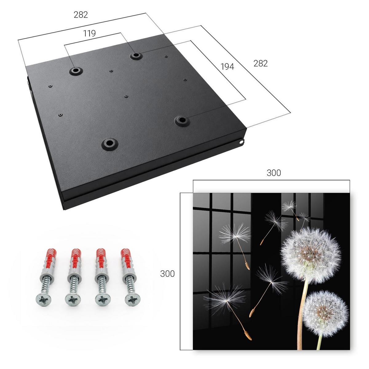 SCHLÜSSELBOX Schwarz 30x30 cm- Türöffnung nach rechts - Zarte Löwenzahnblüten - Schwarz, Metall (30/30/5cm) - TULUP