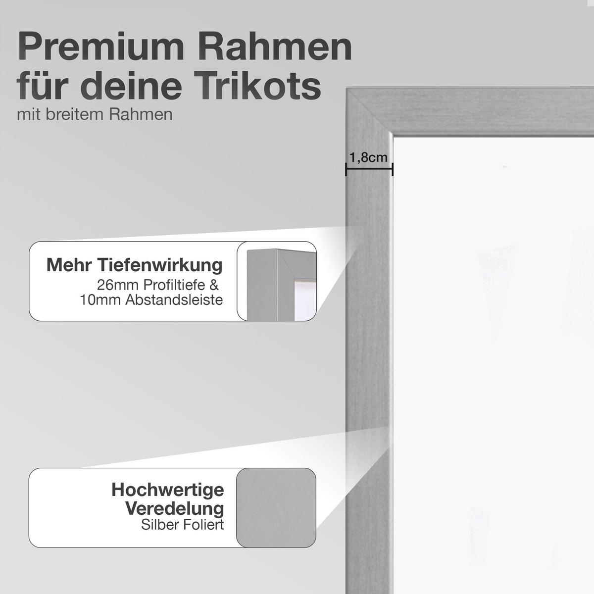 TRIKOTRAHMEN 70/90 mit weißem Hintergrund - Silberfarben, Holz (70/90cm) - K-Möbel