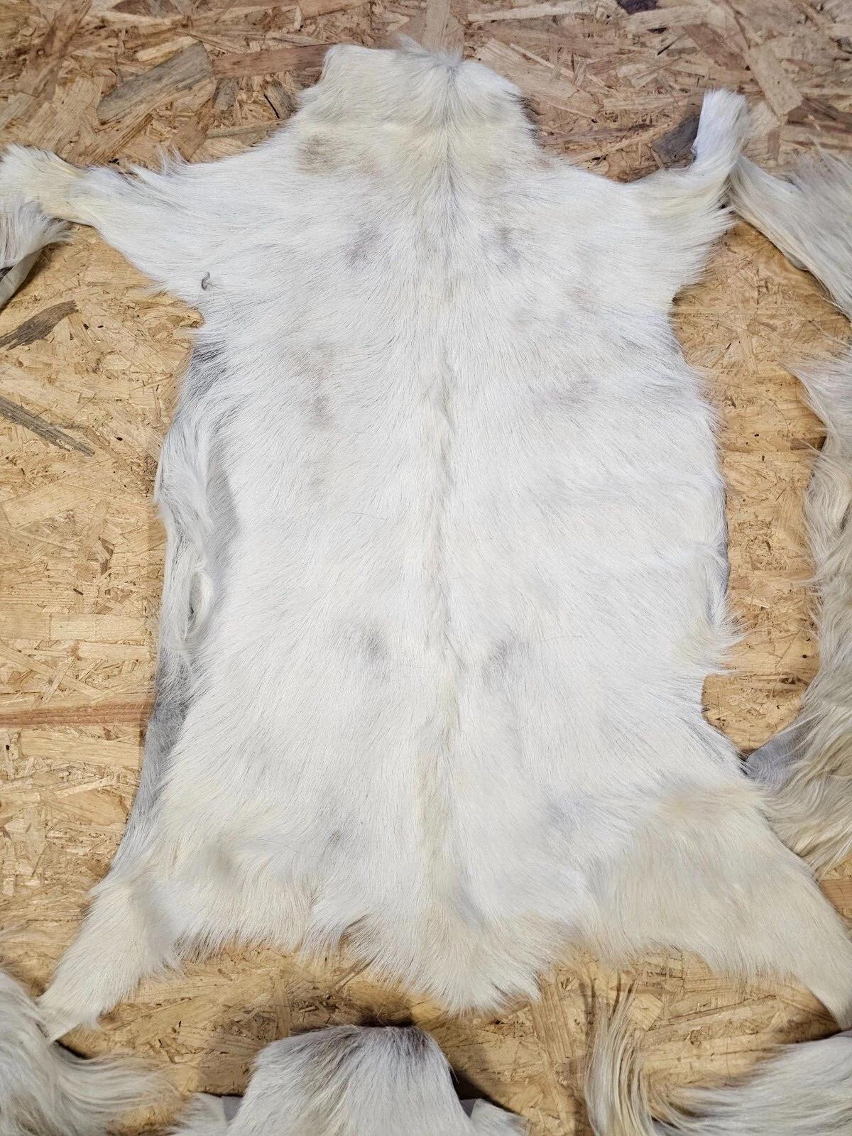 FELL Ziegenfell Eher Hell Naturfarben Teppich ca. 90 cm 1.Wahl - Hellgrau/Weiß, Fell (50/90cm) - Provellus