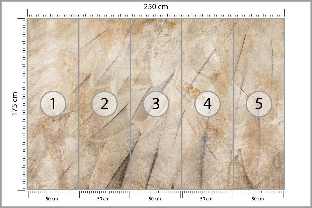 FOTOTAPETE Vogelflügel Beton Retro Stil 250x175 - Beige/Braun, Papier (250/175cm) - Muralo