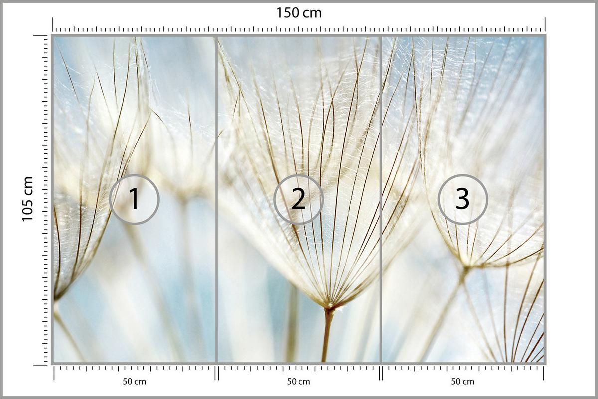 FOTOTAPETE für Wohnzimmer Löwenzahn Pflanzen Natur 150x105 - Blau/Beige, Papier (150/105cm) - Muralo