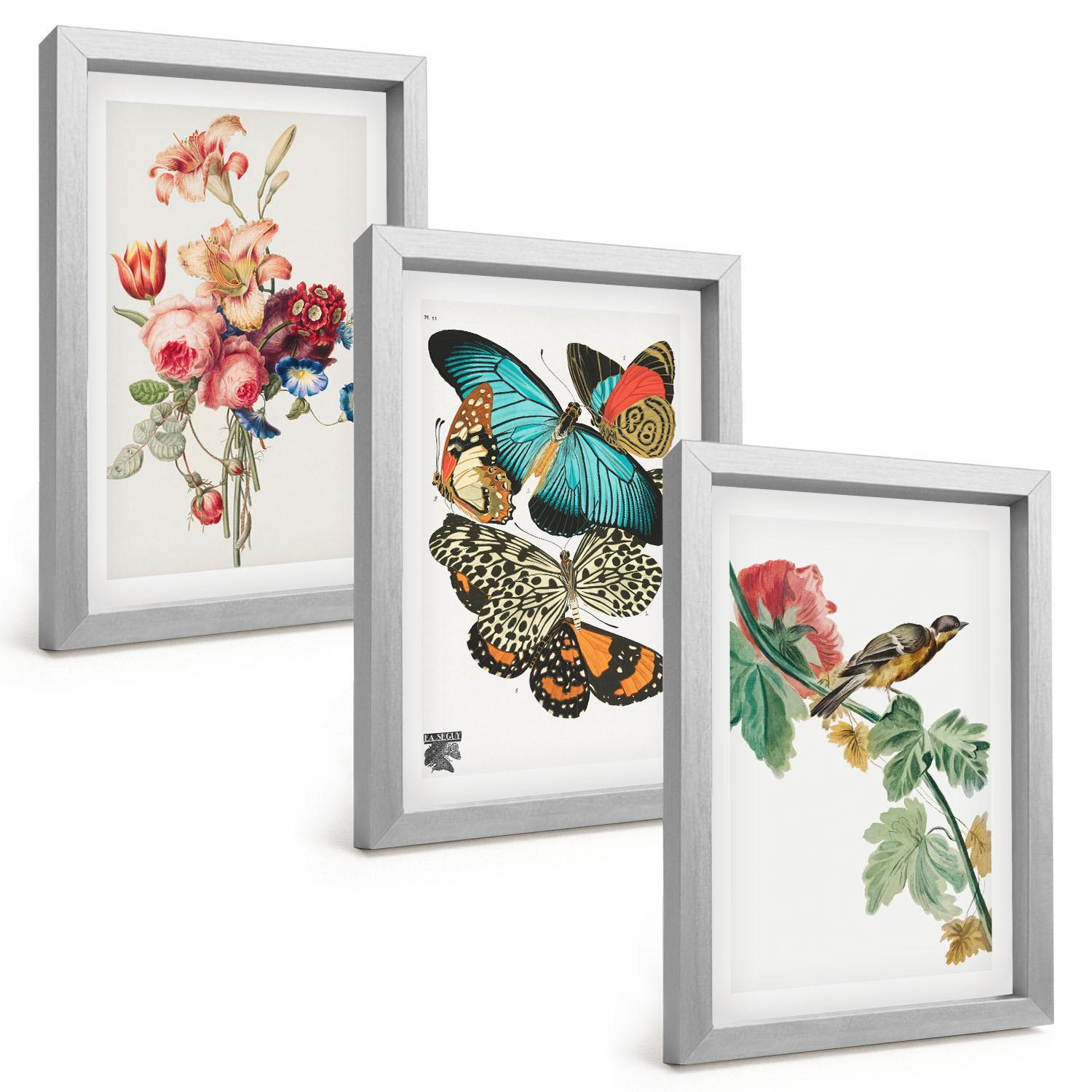 BILDER SET 3er Set - 20x30 cm Silberner Rahmen - Blumen, Schmetterlinge, Vögel, Pastellfarben - Silberfarben, Kunststoff (20/30cm) - TULUP
