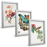 BILDER SET 3er Set - 20x30 cm Silberner Rahmen - Blumen, Schmetterlinge, Vögel, Pastellfarben - Silberfarben, Kunststoff (20/30cm) - TULUP