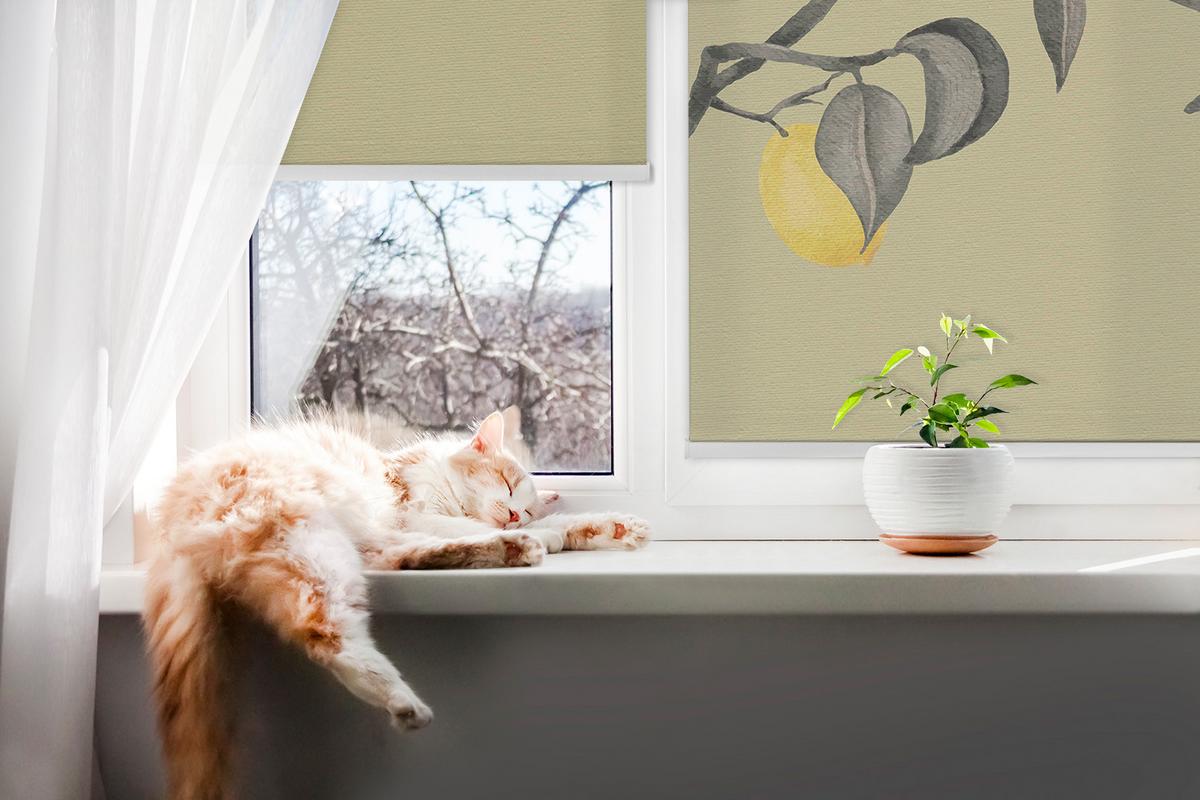 INNENROLLO - Fensterrollo - Rollo - 70x140 cm - Zitronen am Baum - Grün, Kunststoff (70/140/0.5cm) - TULUP