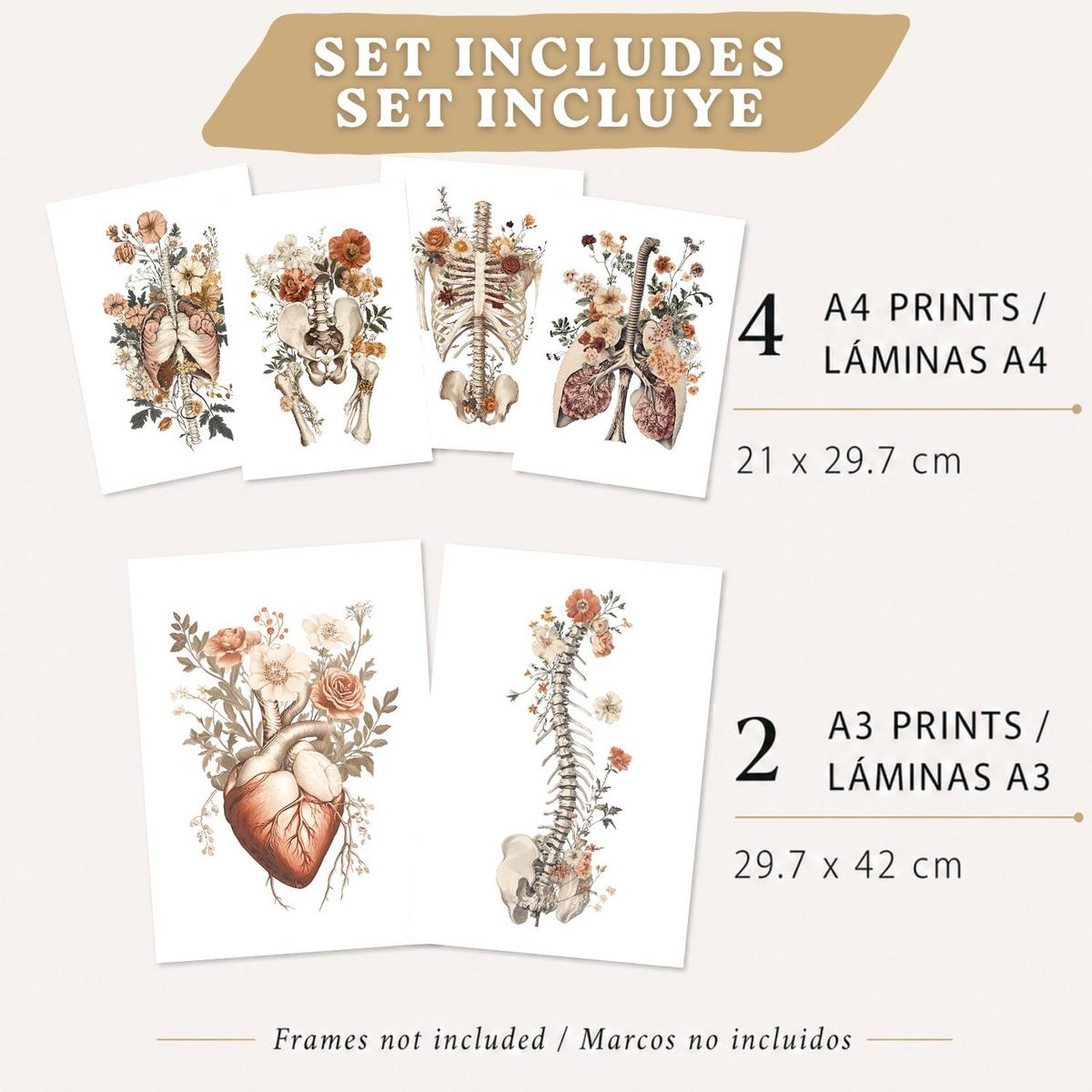 POSTER Set aus 6 Anatomie Mensch Florale Aquarell Drucke und mit Gehirn Lungen Skelett Nieren und Organen Botanische Größe Leichter Holzrahmen A3 & A4 - Beige, Papier (21/29.7/3cm) - Nacnic