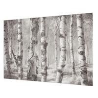 FOTOTAPETE 312x219 cm - Birkenwald - Schwarz, Textil (312/219cm) - Wallfluent