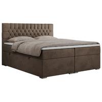 BOXBETT PERA 120/200 Braun Velvet - H4 - Braun, Holz/Textil (120/200cm) - MKS