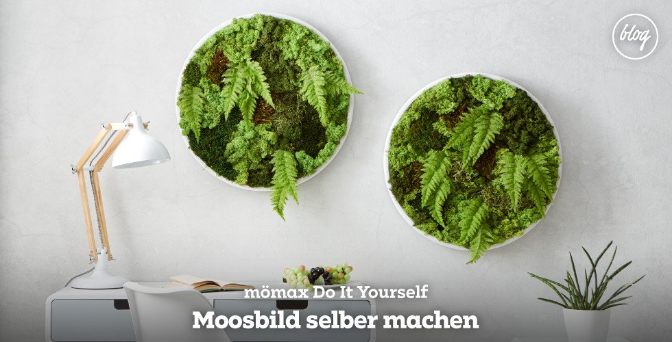 blog_0519_moosbild