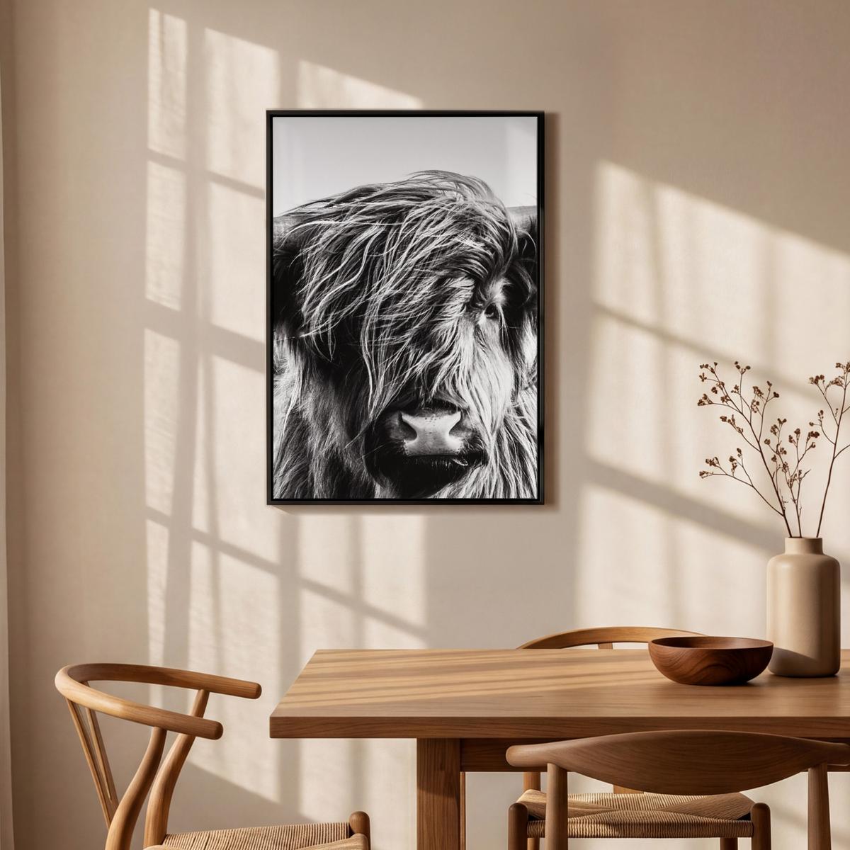 LEINWAND Bilder mit Rahmen - Kuh - Schottischer Hochländer - Schwarz - Weiß - Tier - Natur - Wildtiere - 60x90 - Schwarz, Textil (60/90cm) - MuchoWow