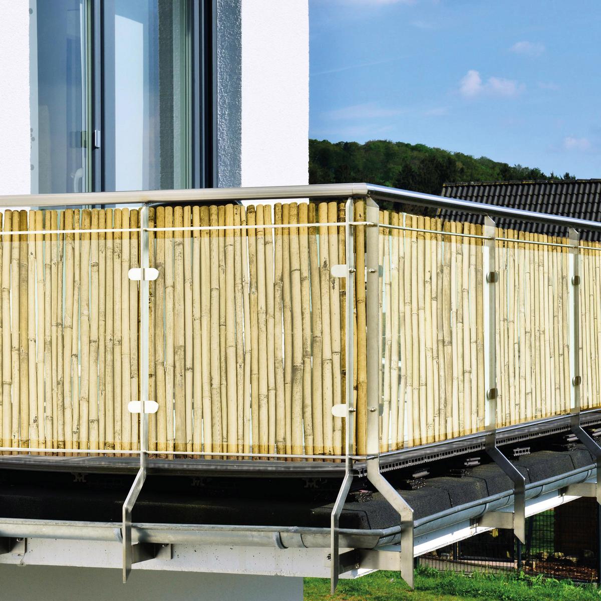 SICHTSCHUTZZAUN SolVision B89 120/250 cm Bambus Hell - Weiß, Naturmaterialien (250/120cm) - Sol Royal