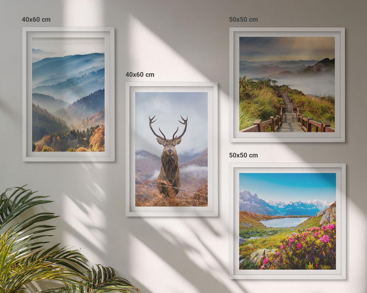 BILDER SET 4er Set - 50x50 cm & 40x60 cm Weißer Rahmen - Berglandschaft, See, Hirsche - Weiß, Kunststoff (50/50cm) - TULUP