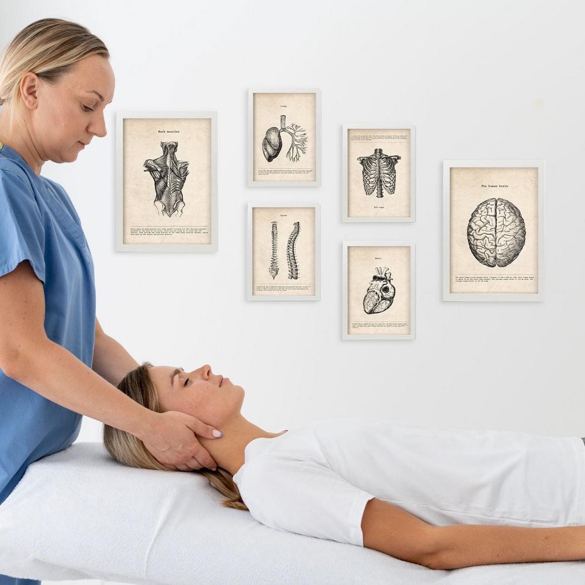 POSTER Set Mit 6 Oberkörper Medizinische Illustrationen Im Vintage Stil Von Anatomie, Körperteilen, Knochen Und Muskeln A3 & A4 Weißer Rahmen - Weiß, Papier (29/3cm) - Nacnic