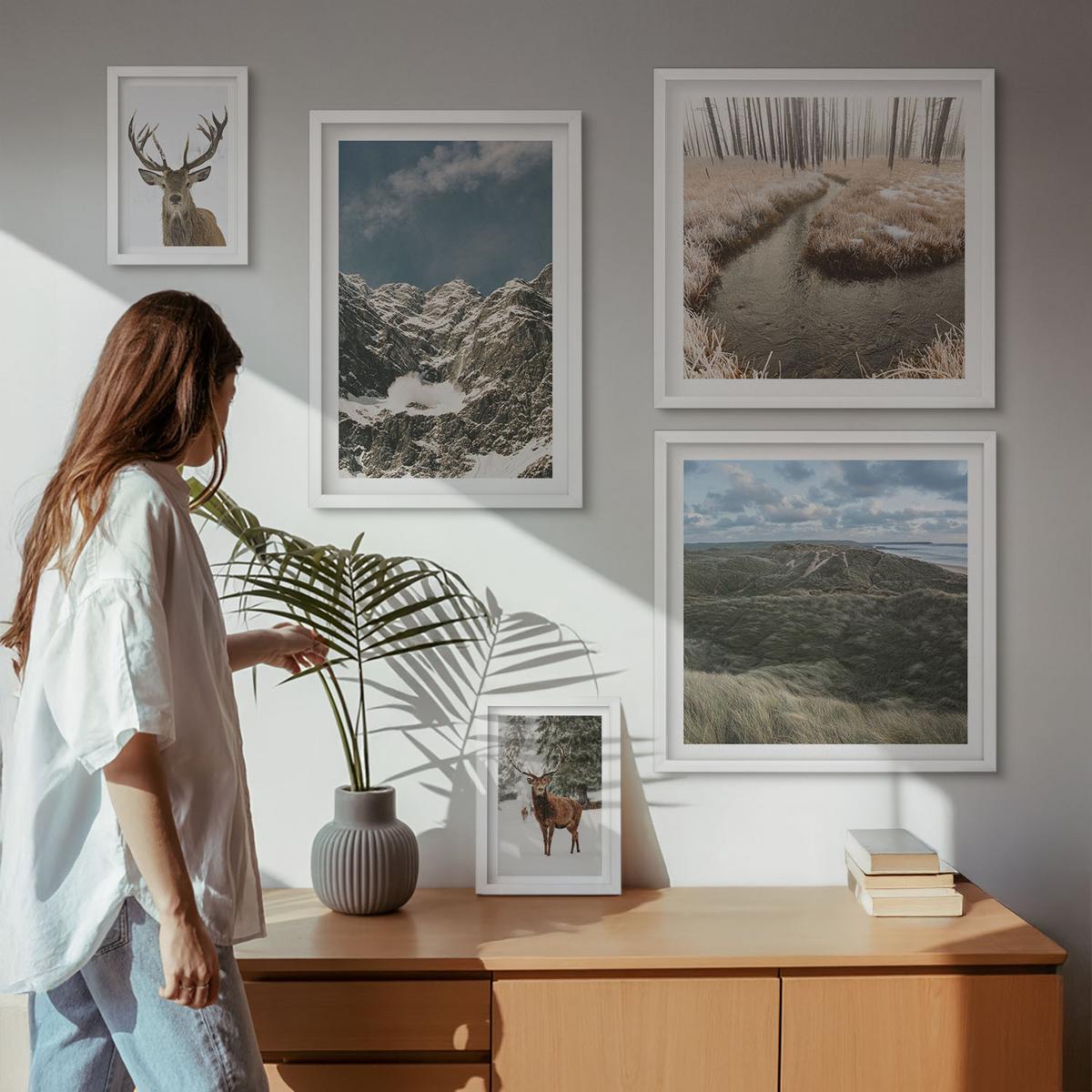 BILDER SET 5er Set - 50x50 cm & 20x30 cm & 40x60 cm Weißer Rahmen - Berge, Schnee, Hirsche, Waldlandschaft - Weiß, Kunststoff (40/60cm) - TULUP