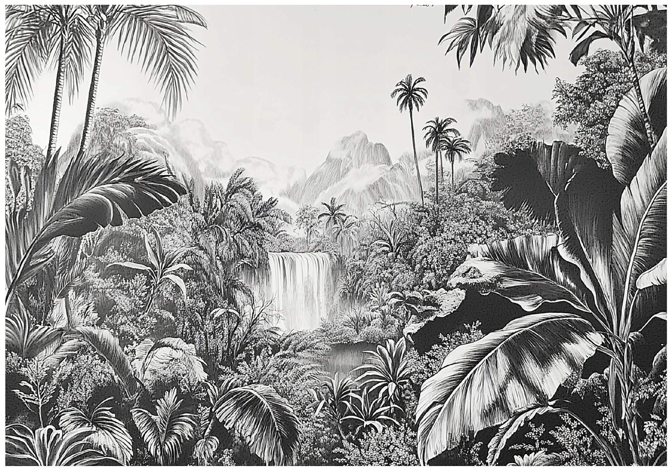 FOTOTAPETE Dschungel Wald Schwarz Weiß Tapete Wohnzimmer Schlafzimmer 150x105 - Grau, Papier (150/105cm) - Wallarena