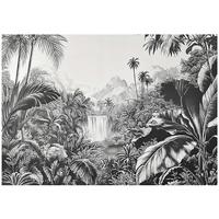FOTOTAPETE Dschungel Wald Schwarz Weiß Tapete Wohnzimmer Schlafzimmer 150x105 - Grau, Papier (150/105cm) - Wallarena