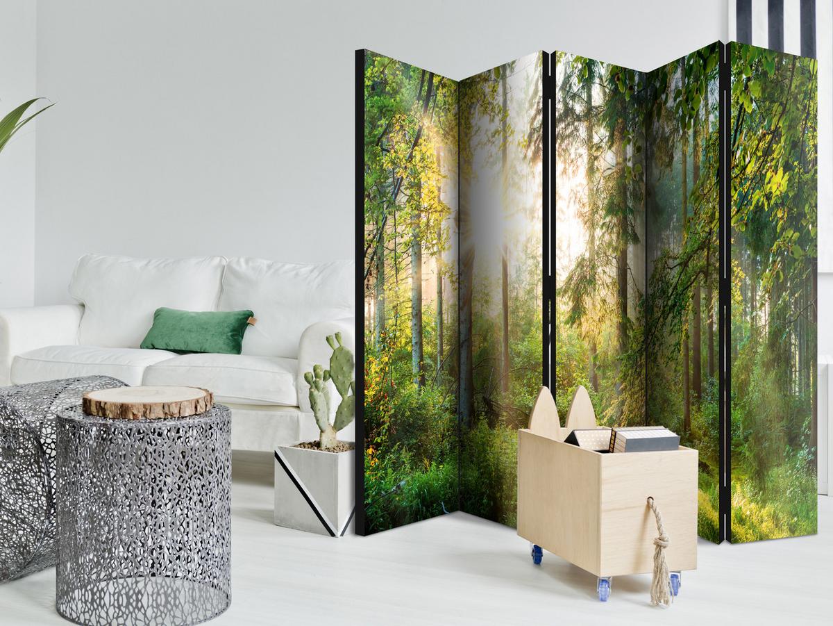 PARAVENT Einseitig Bedruckter 5-tlg 225x172 cm Wald Beim Sonnenaufgang - Grün, Holz/Textil (225/172/3cm) - Muralo