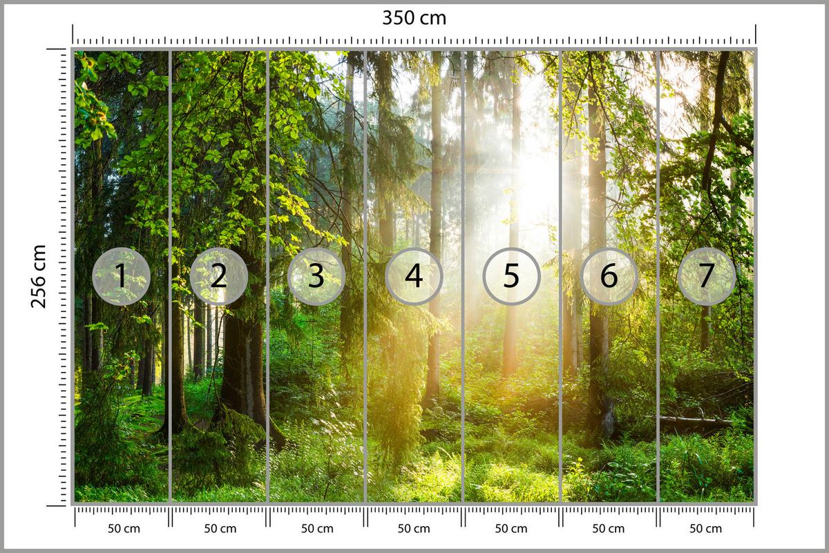 FOTOTAPETE für Wohnzimmer Sonniger Wald Bäume Pflanzen Natur Gras 350x256 - Multicolor, Papier (350/256cm) - Muralo
