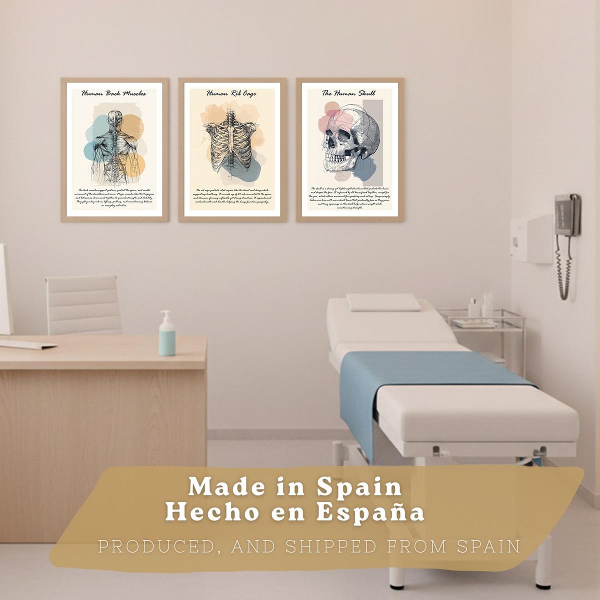 POSTER Set aus 3 Anatomie Mensch Lernposter Drucke und Wandbilder mit Muskeln Rücken Brustkorb Schädel Wanddekoration Größe Leichter Holzrahmen A4 - Beige, Papier (21/29.7/3cm) - Nacnic
