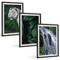 BILDER SET 3er Set - 40x60 cm Schwarzer Rahmen - Wasserfall aus weißen Tigerblättern - Schwarz, Kunststoff (40/60cm) - TULUP