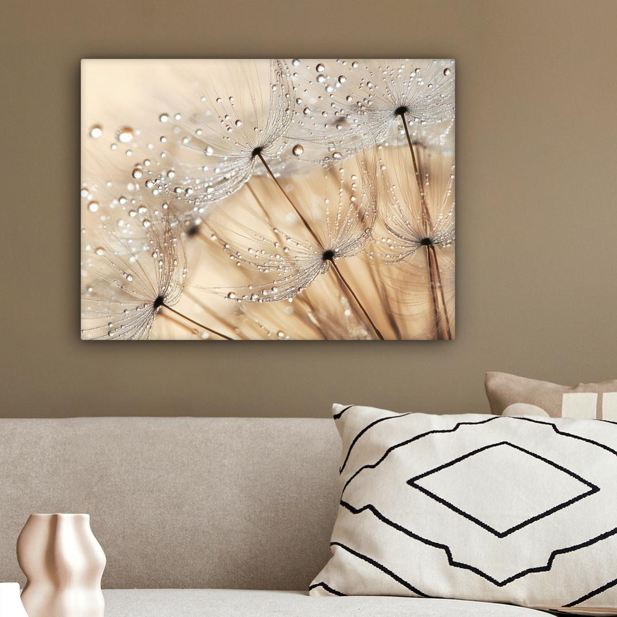 LEINWANDBILD Löwenzahn - Abstrakt - Natur - Beige Wandbild 40x30 cm - Braun, Textil (40/30cm) - MuchoWow
