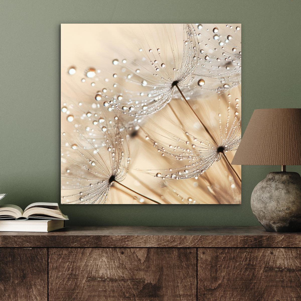 METALLBILD Löwenzahn - Abstrakt - Natur - Beige 50x50 cm - Braun, Metall (50/50cm) - MuchoWow
