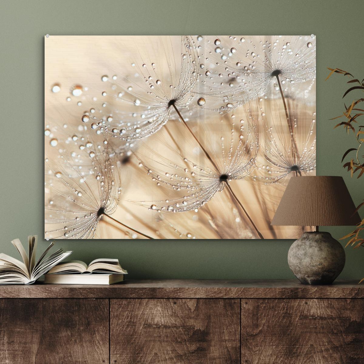 ACRYLGLASBILD Löwenzahn - Abstrakt - Natur - Beige 80x60 cm - Braun, Glas (80/60cm) - MuchoWow