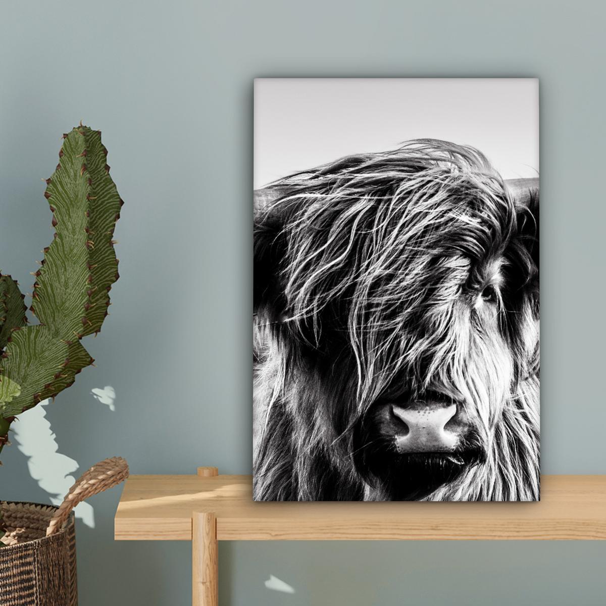 LEINWANDBILD Kuh - Schottischer Hochländer - Schwarz - Weiß - Tier - Natur - Wildtiere Deko Wohnzimmer 20x30 cm - Schwarz, Textil (20/30cm) - MuchoWow