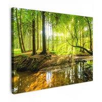 LEINWANDBILD Wald - Landschaft - Wasser - Bäume - Sonne - Grün - Natur Wandbild 40x30 cm - Grün, Textil (40/30cm) - MuchoWow