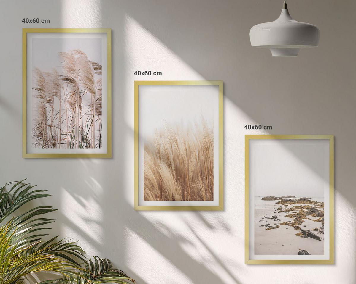 BILDER SET 3er Set - 40x60 cm Goldrahmen - Pampasgrasfelder und ein Boho-Strand - Goldfarben, Kunststoff (40/60cm) - TULUP