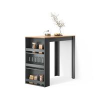 BARTISCH Regusa Goldkraft Eiche/Anthrazit 57 x 117 cm - Honigeiche/Anthrazit, Holzwerkstoff (117/57/106cm) - Livinity®