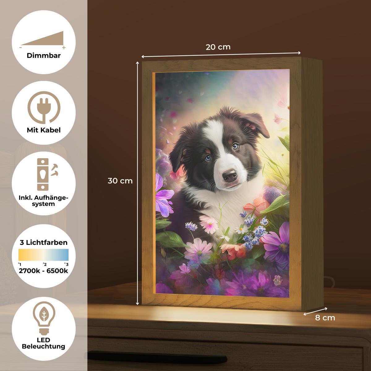 NACHTTISCHLAMPE Welpe - Sonne - Blumen - Natur - Border Collie - Hund 20x30 cm - Violett, Holzwerkstoff (8/20/30cm) - OnlyWow