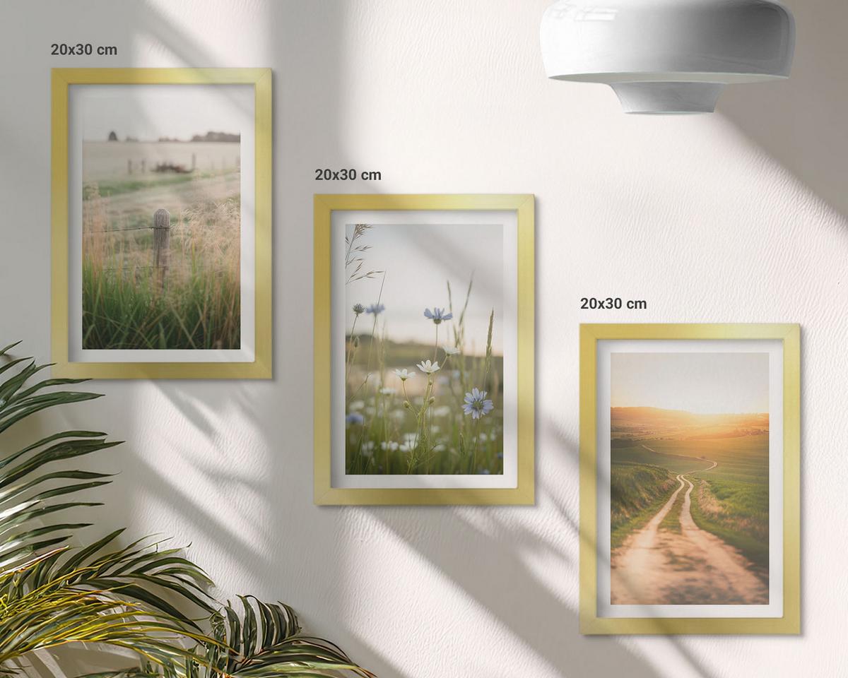 BILDER SET 3er Set - 20x30 cm Goldrahmen - Landschaften Natur Felder Weg - Goldfarben, Kunststoff (20/30cm) - TULUP