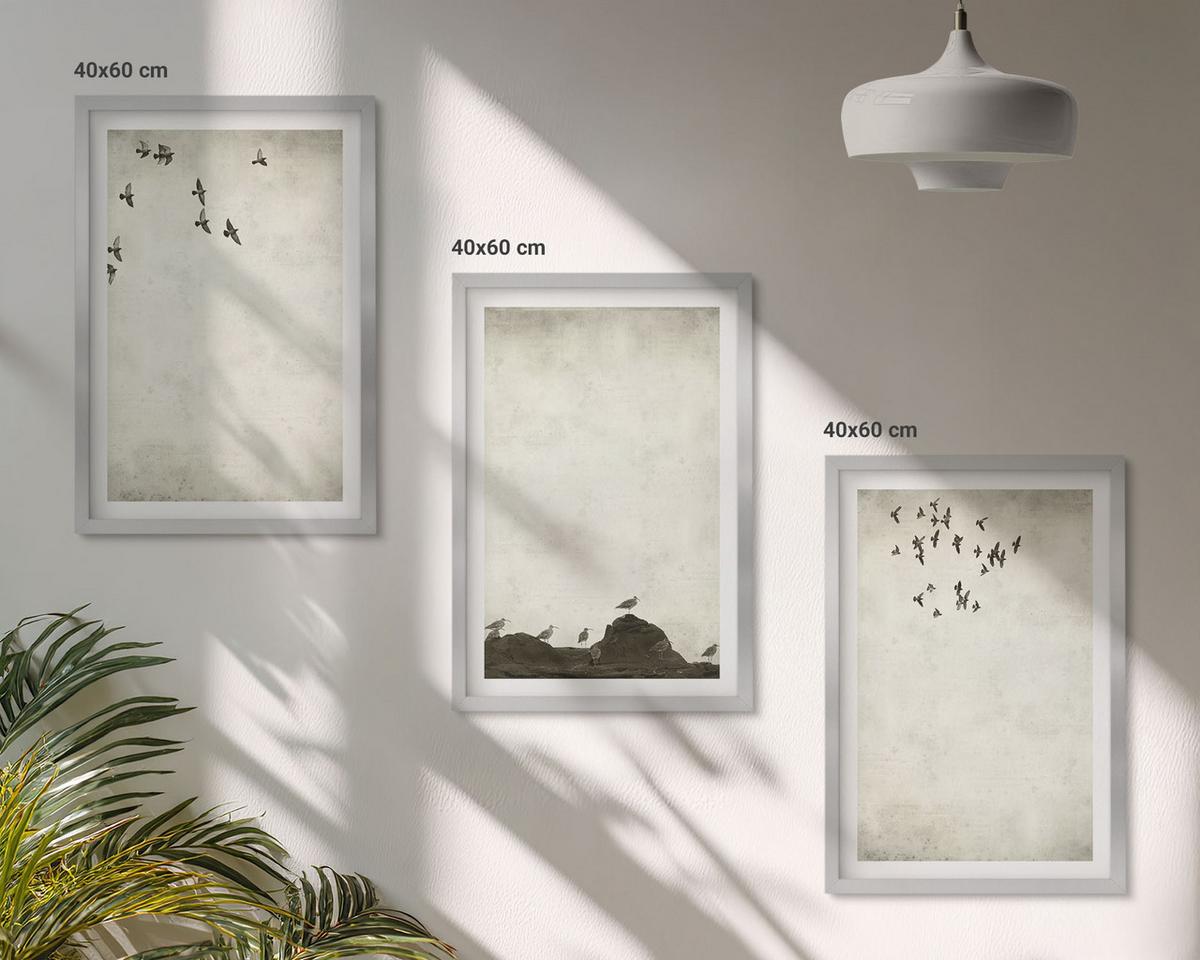 BILDER SET 3er Set - 40x60 cm Silberner Rahmen - Fliegende Vögel Minimalismus - Silberfarben, Kunststoff (40/60cm) - TULUP