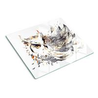 GLASPLATTE 60x52 cm Eule - Beige, Glas (60/0.4/52cm) - TULUP