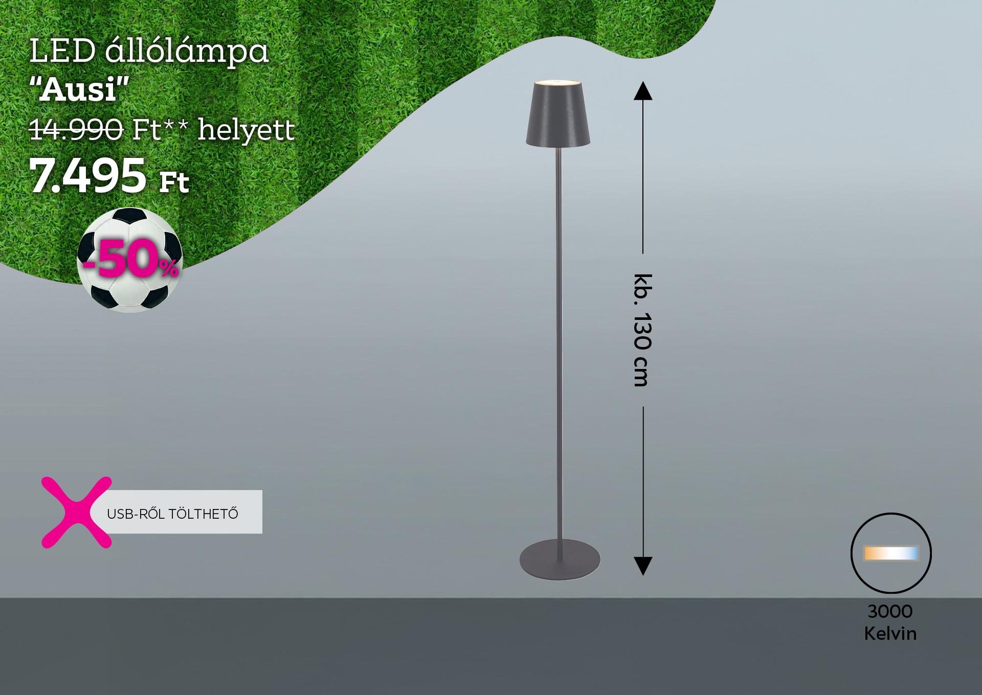 LED állólámpa AUSI 14990 Forint helyett 7495 Forint, kedvezmény mértéke 50%
