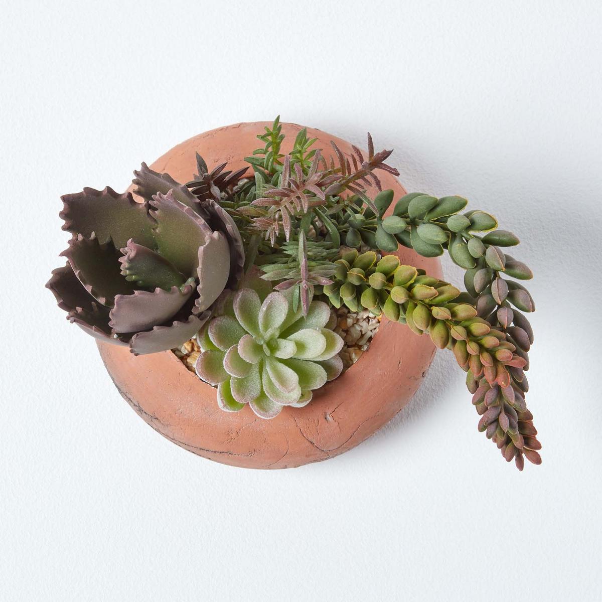 KUNSTPFLANZEN Sukkulenten-Arrangement in Deko-Schale, 15 cm - Grün, Kunststoff (14cm) - Homescapes