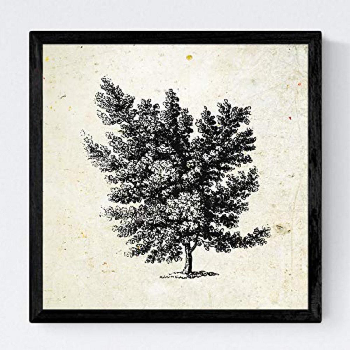 POSTER Set mit 4 Blättern der Laubbäume Jahrgang Hintergrund 30x30 cm Rahmenlos - Klar, Papier (30/3cm) - Nacnic