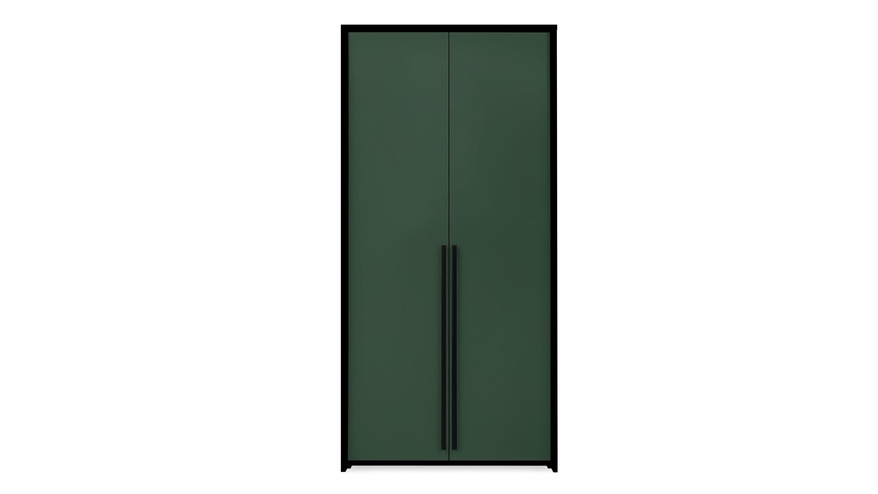 DREHTÜRENSCHRANK AZIR 105/217/65 cm 2-türig Grün - Grün, Holzwerkstoff (105/217/65cm) - MASSENO