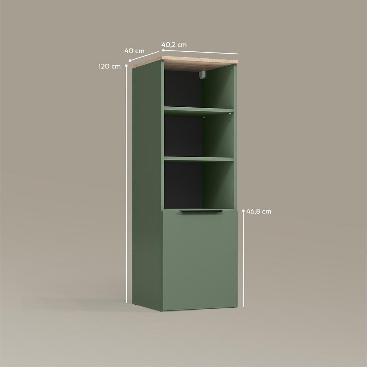 UNIVERSALSCHRANK Piave Grün mit einer Tür - Grün, Holzwerkstoff (40.2/120/40cm) - Livinity®