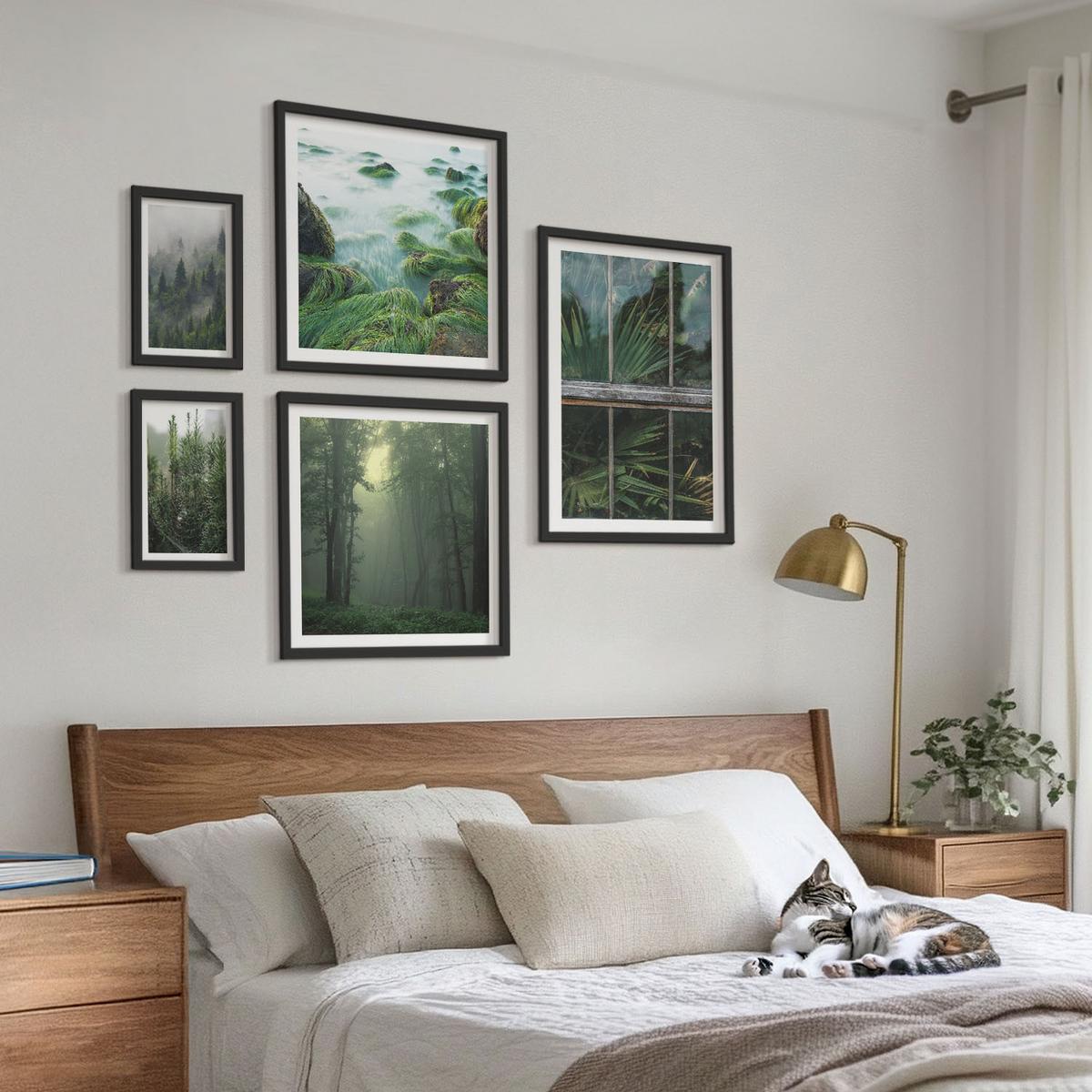 BILDER SET 5er Set - 50x50 cm & 20x30 cm & 40x60 cm Schwarzer Rahmen - Nahaufnahmen von Blättern sukkulenter Pflanzen - Schwarz, Kunststoff (40/60cm) - TULUP