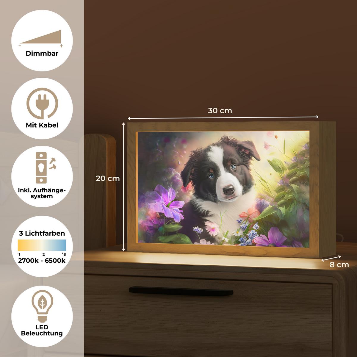 NACHTTISCHLAMPE Welpe - Sonne - Blumen - Natur - Border Collie - Hund 30x20 cm - Violett, Holzwerkstoff (8/30/20cm) - OnlyWow