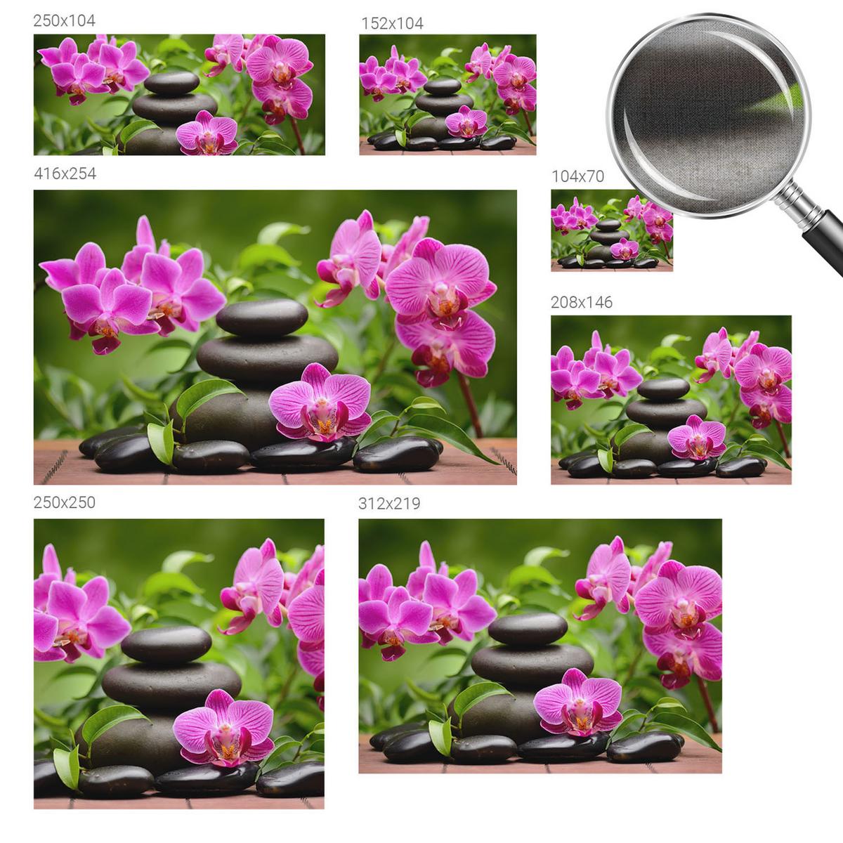 FOTOTAPETE 250x250 cm - Orchideensteine - Grün, Textil (250/250cm) - Wallfluent