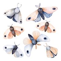 WANDAUFKLEBER 60x77cm - Pastellfarbene Motten-Insekten - Multicolor, Kunststoff (60/77/0.1cm) - Wallfluent