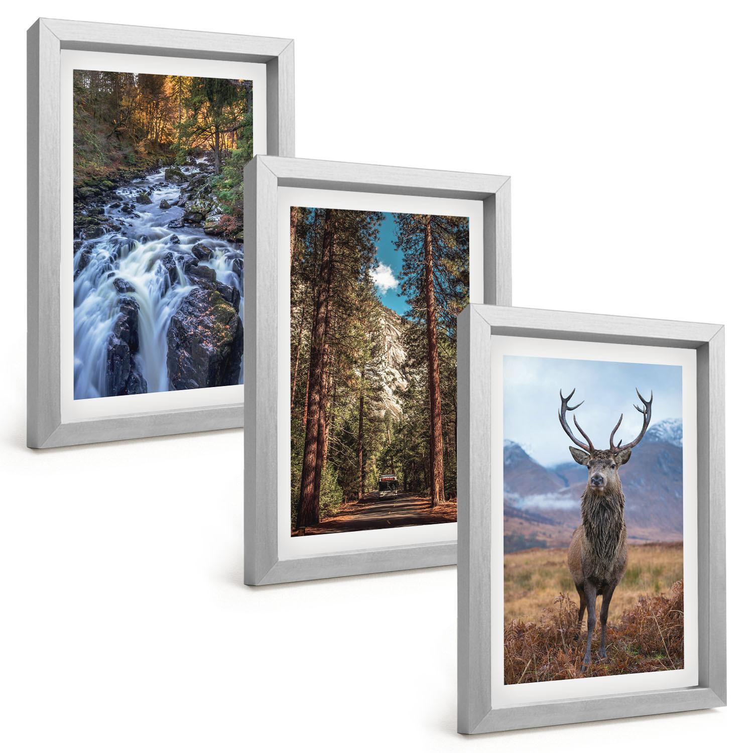 BILDER SET 3er Set - 20x30 cm Silberner Rahmen - Wasserfall Wald Berge Hirsch Natur - Silberfarben, Kunststoff (20/30cm) - TULUP