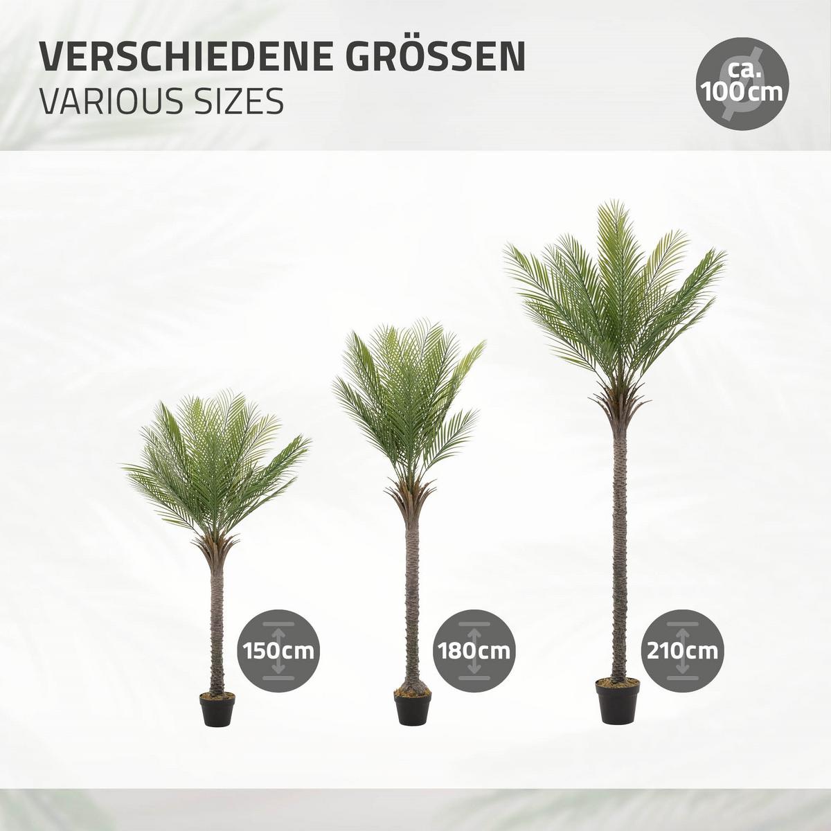 KUNSTPFLANZE Palme - Anthrazit/Grün, Holz/Kunststoff (150cm) - ML-DESIGN