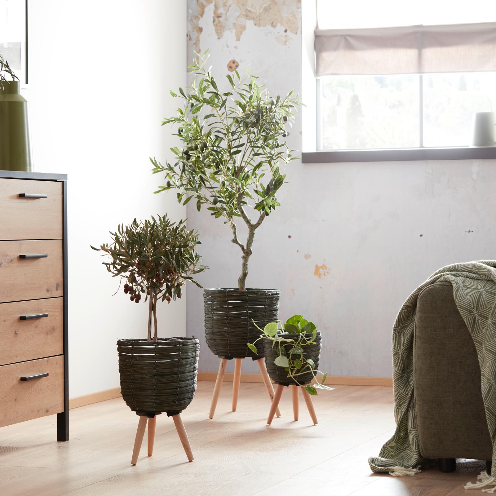 Dodatki do salonu w stylu oil green
