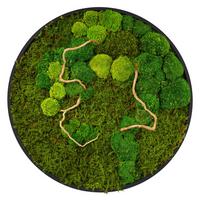 MOOSBILD Rund Ø 60 cm Mooswand Indoor mit echtem Kugelmoos-Flachmoos-Mix und Ästen Holzrahmen Grün - Grün, Naturmaterialien (60/60/3cm) - ECD-Germany