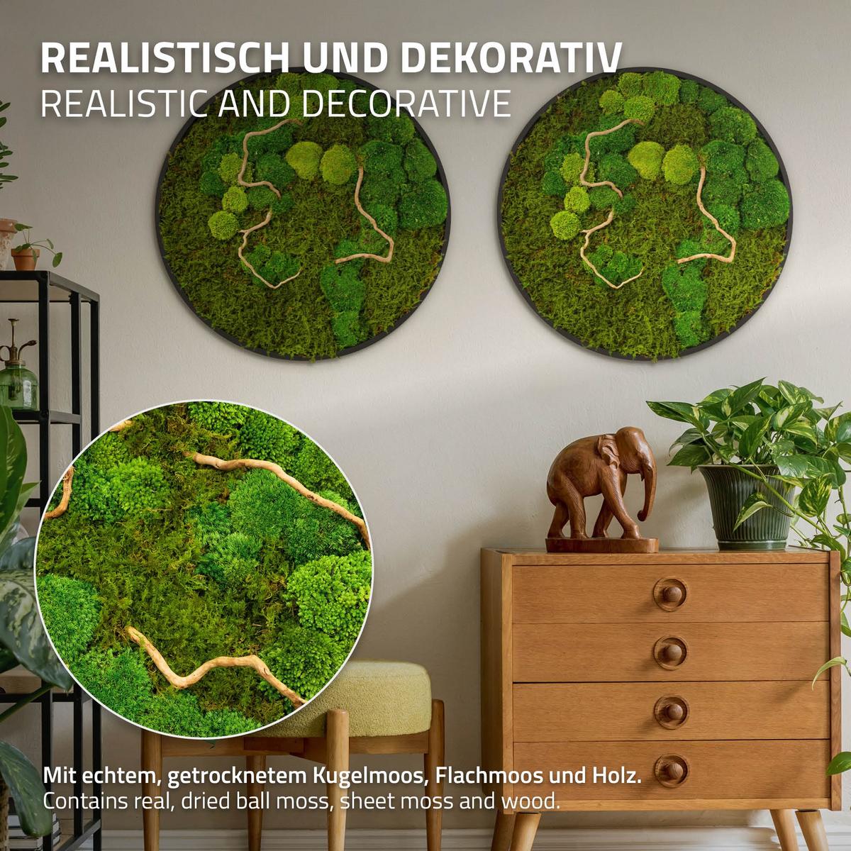 MOOSBILD Rund Ø 60 cm Mooswand Indoor mit echtem Kugelmoos-Flachmoos-Mix und Ästen Holzrahmen Grün - Grün, Naturmaterialien (60/60/3cm) - ECD-Germany