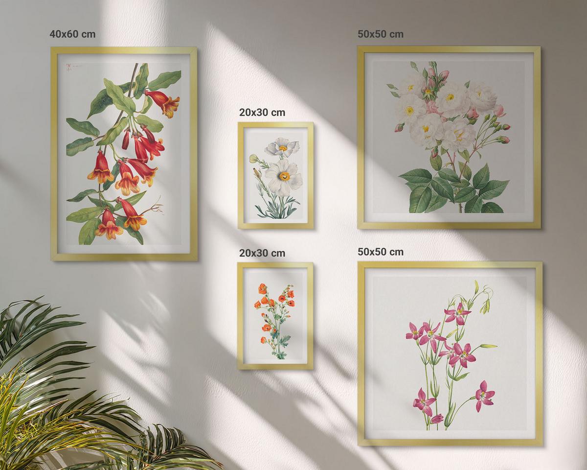BILDER SET 5er Set - 50x50 cm & 20x30 cm & 40x60 cm Goldrahmen - Retro-Blumenmalerei - Goldfarben, Kunststoff (40/60cm) - TULUP