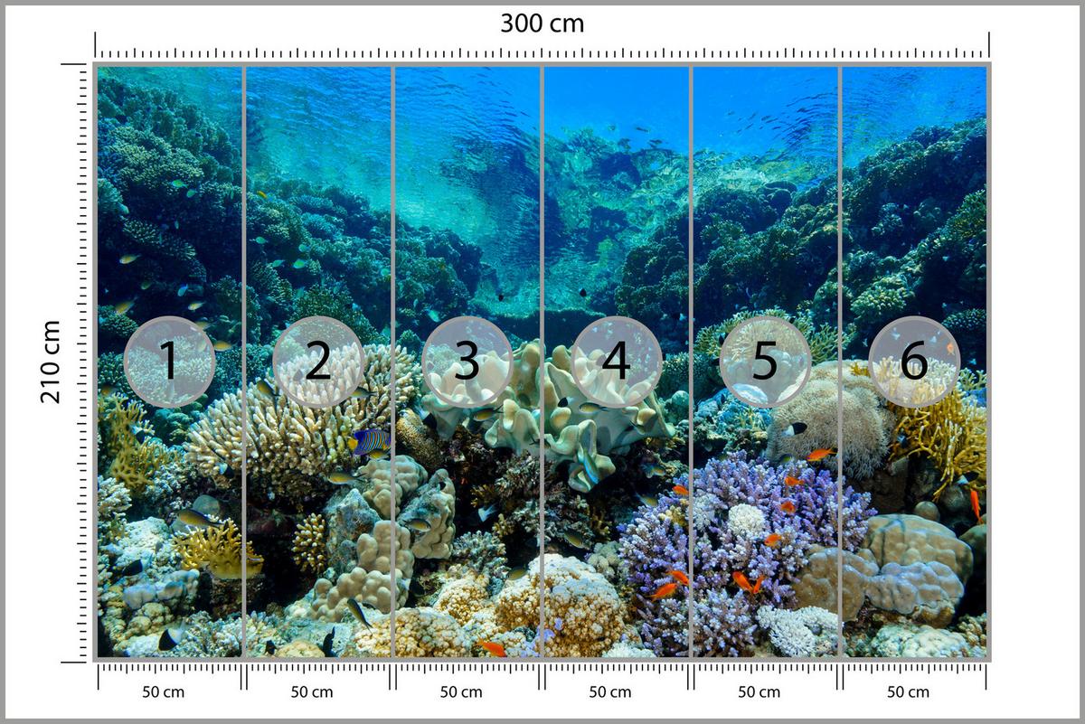 FOTOTAPETE Unterwasserwelt Korallenriff Bunte Fische Meer Natur 300x210 - Türkis/Gelb, Papier (300/210cm) - Muralo